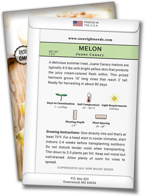 WILLVINE NBIR-366 Juane Canary Musk Melon Seed Seed(200 per packet)