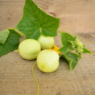 VibeX ® RXI-522 Lemon Cucumber Seeds Heirloom Seed(200 per packet)