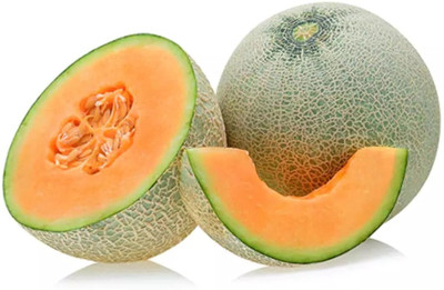 PLUSGREEN Muskmelon Cataloupe Melon Seed(100 per packet)