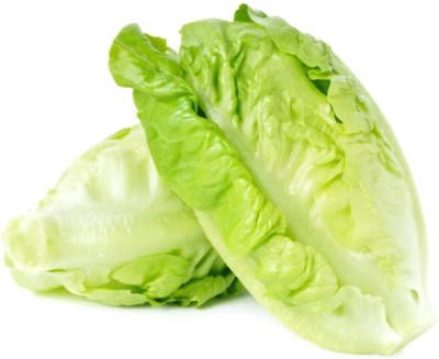 Quentova Baby Romaine Lettuce-VS-9E Seed(200 per packet)