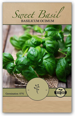 VibeX VXI-87 - Organic Genovese Sweet Basil - (4500 Seeds) Seed(4500 per packet)