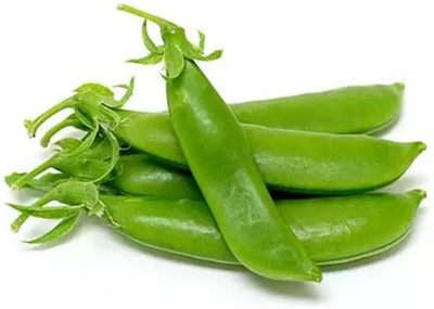 Avysa (मटर के बीज) (Matar) Peas Seeds Seed(100 per packet)