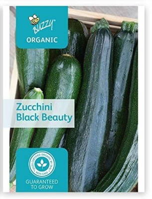 CYBEXIS Black Beauty Zucchini100 Seeds Seed(100 per packet)