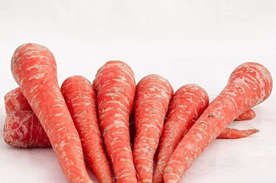KANAYA Carrot / Gajar Seed(18 per packet)