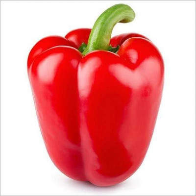 Clint Red Capsicum, Shimlamirch Seed(50 per packet)