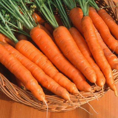 VINSIN विलायती गाजर Orange Carrot Seed(200 per packet)