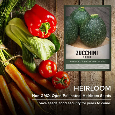 Biosnyg Zucchini Round -[50 Seeds] Seed(50 per packet)