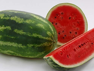 PMW Germination Purpose - F1 Hybrid - Watermelon Seeds - 25 Seeds Seed(25 per packet)