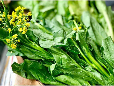 CYBEXIS LX-30 - Brassica Juncea Choy Sum Mustard - (2250 Seeds) Seed(2250 per packet)