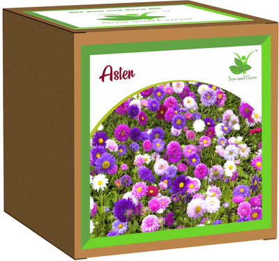 Sow and Grow Seed Starter Grow Kit of Aster Flower, for temperatures 15-25 Degrees DIY Easy Seed(1 per packet)