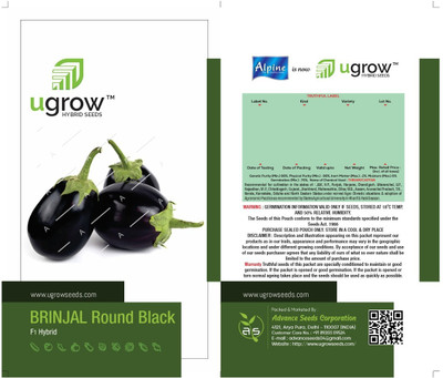 agri max gardens THE ENIGMATIC TALE OF THE BLACK ROUND BRINJAL SEEDS & PLANT Seed(50 per packet)