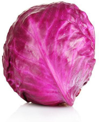 CYBEXIS Red or Purple Cabbage2000 Seeds Seed(2000 per packet)