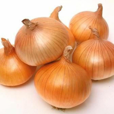 Radha Krishna Agriculture Imported Onion Golden Vegetable Seeds For Home Gardening Pack Of 70 Seed(70 per packet)