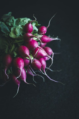 CYBEXIS Pink Radish600 Seeds Seed(600 per packet)