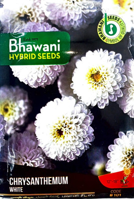 KRASHAK Chrysanthemum seeds, Winter seeds Seed(1 per packet)