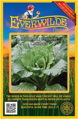 WILLVINE SYN -XII Michihili Chinese Cabbage Seeds - 15000 Seeds Seed(50 g)