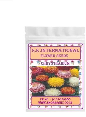 SK ORGANIC Flower Seeds Hybrid F1 Chrysthanium seeds- Daisy Mix Seeds- Dianthus seeds Seed(100 per packet)