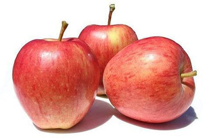 Decon Apple Seed(10 per packet)