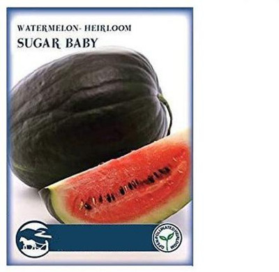 CYBEXIS Sugar baby Watermelon Seeds400 Seeds Seed(400 per packet)