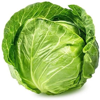 MYLAWN Organic green cabbage (पत्ता गोभी के बीज) Seed(50 per packet)