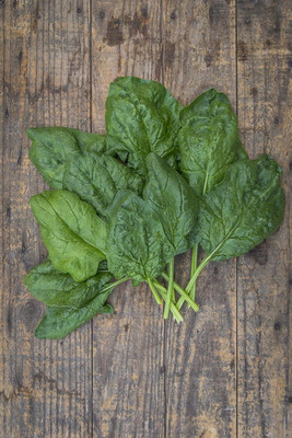 Qualtivate RES-2A Bloomsdale Spinach Seeds Seed(300 per packet)