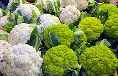 WILLVINE HAR -VI Cauliflower & Cauliflower White Green Seed[10g, 3000 Seeds] Seed(3000 per packet)