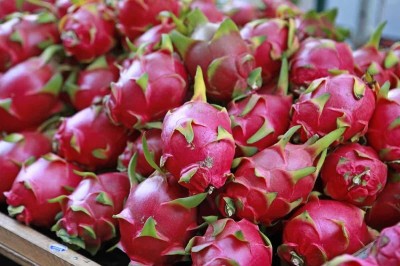 DIOART DRAGON FRUIT F1 HYBRID SEEDS -07A10 Seed(100 per packet)