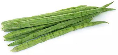 RSLT Drumstick - Moringa Oleifera Seed(100 per packet)
