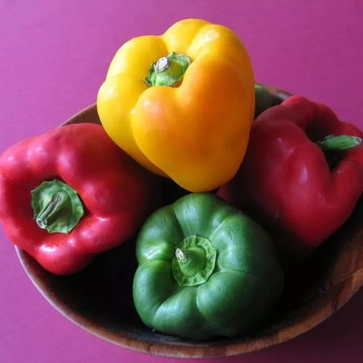 VASUDHA Capsicum Mixed/Bell Pepper Seed(100 per packet)