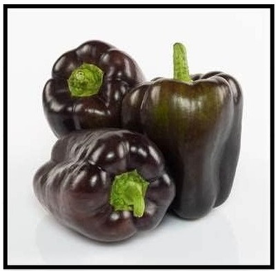 Biosnyg Dragonfly F1 Hybrid Purple Capsicum Seeds-200 Seeds/1gm Seed(200 per packet)