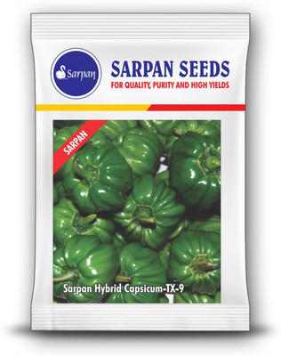 SARPAN HYBRID SEEDS SARPAN CAPSICUM HYBRID TX-9 - 10 GMS Seed(500 per packet)
