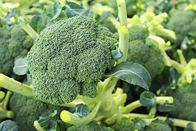 Aro Broccoli Seed(46 per packet)