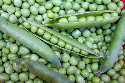 VibeX ® XXL-370 English Green Sweet Peas Seed(50 per packet)