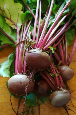 Quentova High Quality Red Beauty Beetroot-RJ Seed(200 per packet)