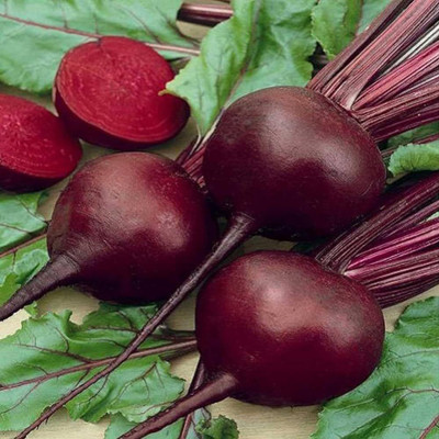 BDSresolve Beetroot seeds hybrid Pack of 61 Seed(61 per packet)