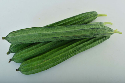 UGRA Sponge Gourd: EARLY MOON Seed(150 per packet)