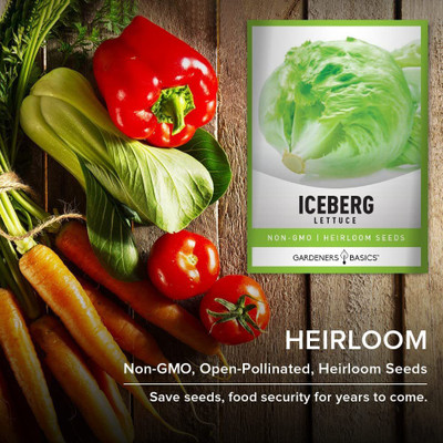 VibeX ® VXI-19 Iceberg Lettuce Seeds Seed(200 per packet)