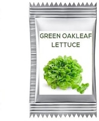 Quentova Green Oak Leaf Lettuce 0.5gm-ROC-2O Seed(400 per packet)