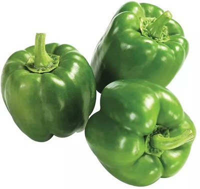 Kirat Capsicum Green Bell Pepper Seed(100 per packet)