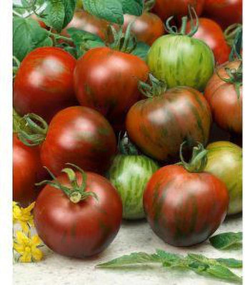 Jevik Brandywine-Black-Tomato- Seed(135 per packet)