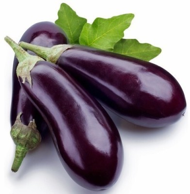 Avysa Vegetable Brinjal Seed(100 per packet)