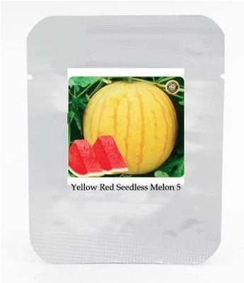 WILLVINE Heirloom 'Huang Pi Qiu' Yellow Skin Red Seedless Watermelon-[125 Seeds] Seed(125 per packet)