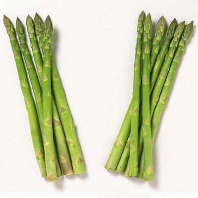 KNESSiN Asparagus Seed(30 per packet)