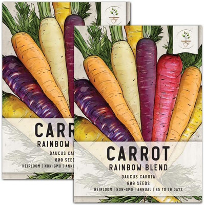 CYBEXIS VVI-38 - Rainbow Carrot - (250 Seeds) Seed(250 per packet)