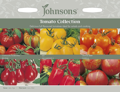CYBEXIS 6 varietiy Tomato Collection Seed(10 g)