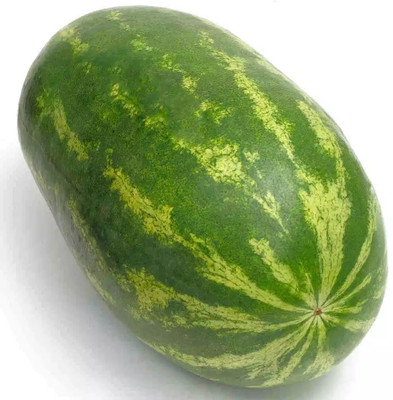 Quentova Delicious Sweet Taste Watermelon/तरबूज के बीज-NST-3V Seed(150 per packet)