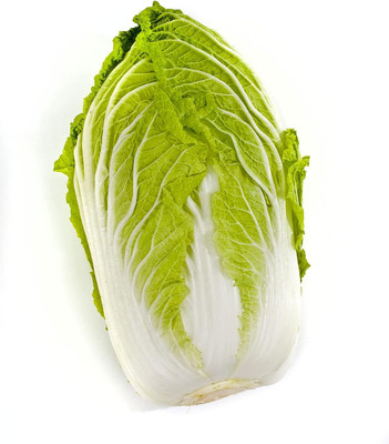 WILLVINE VMR -IX Chinese Cabbage Seeds - Matsushima [2.5g] Seed(750 per packet)