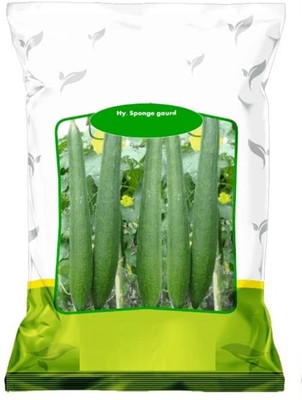 Qualtivate PUAS-6A Taroi/ Sponge Gourd seed Seed(50 per packet)