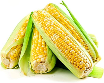 LPR SWEET CORN Seed(20 per packet)