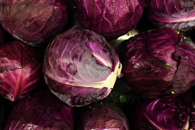 WILLVINE ROX -XII Red Acre Cabbage Vegetable Seeds [10g] Seed(3000 per packet)